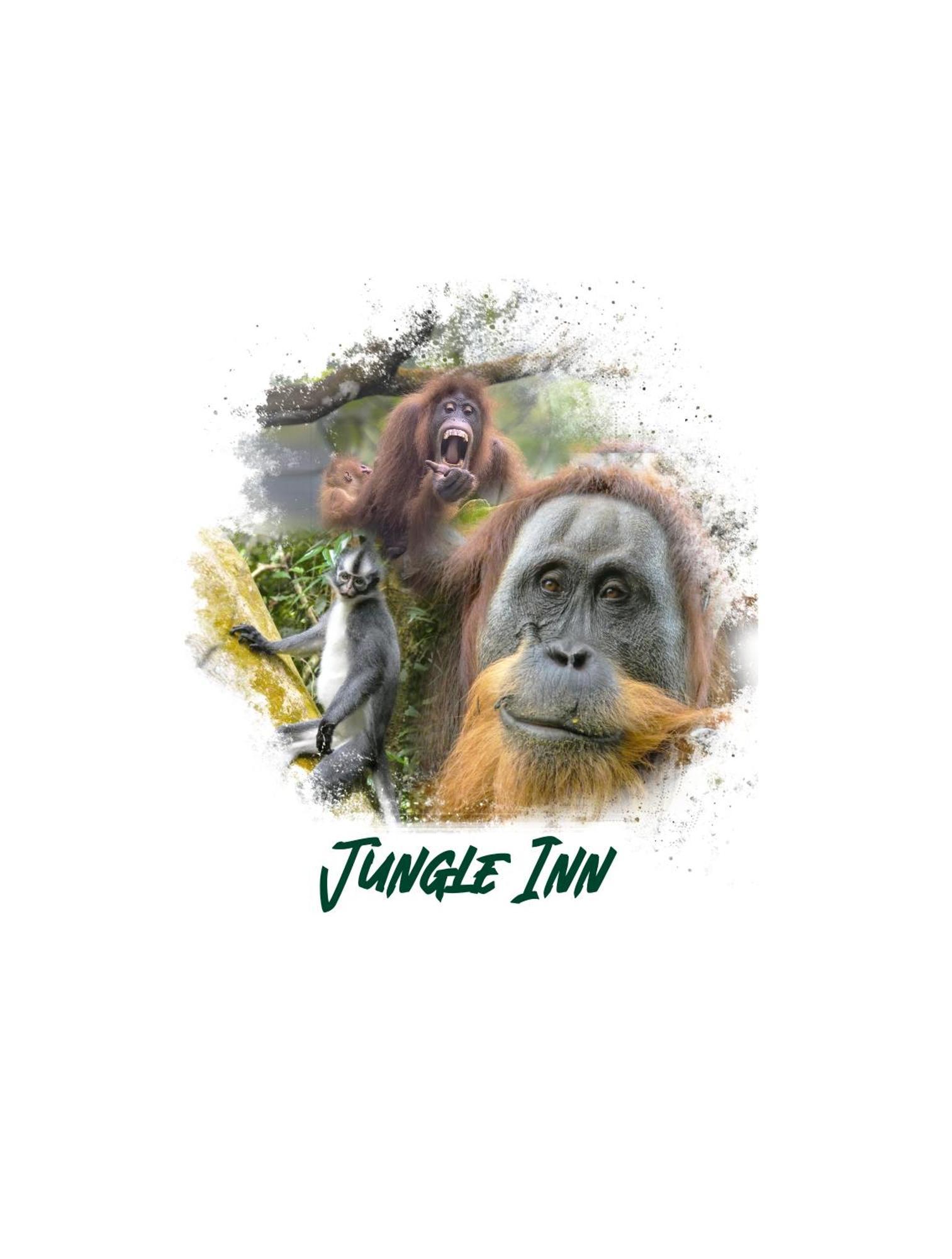 Jungle Inn 부킷 라왕 외부 사진