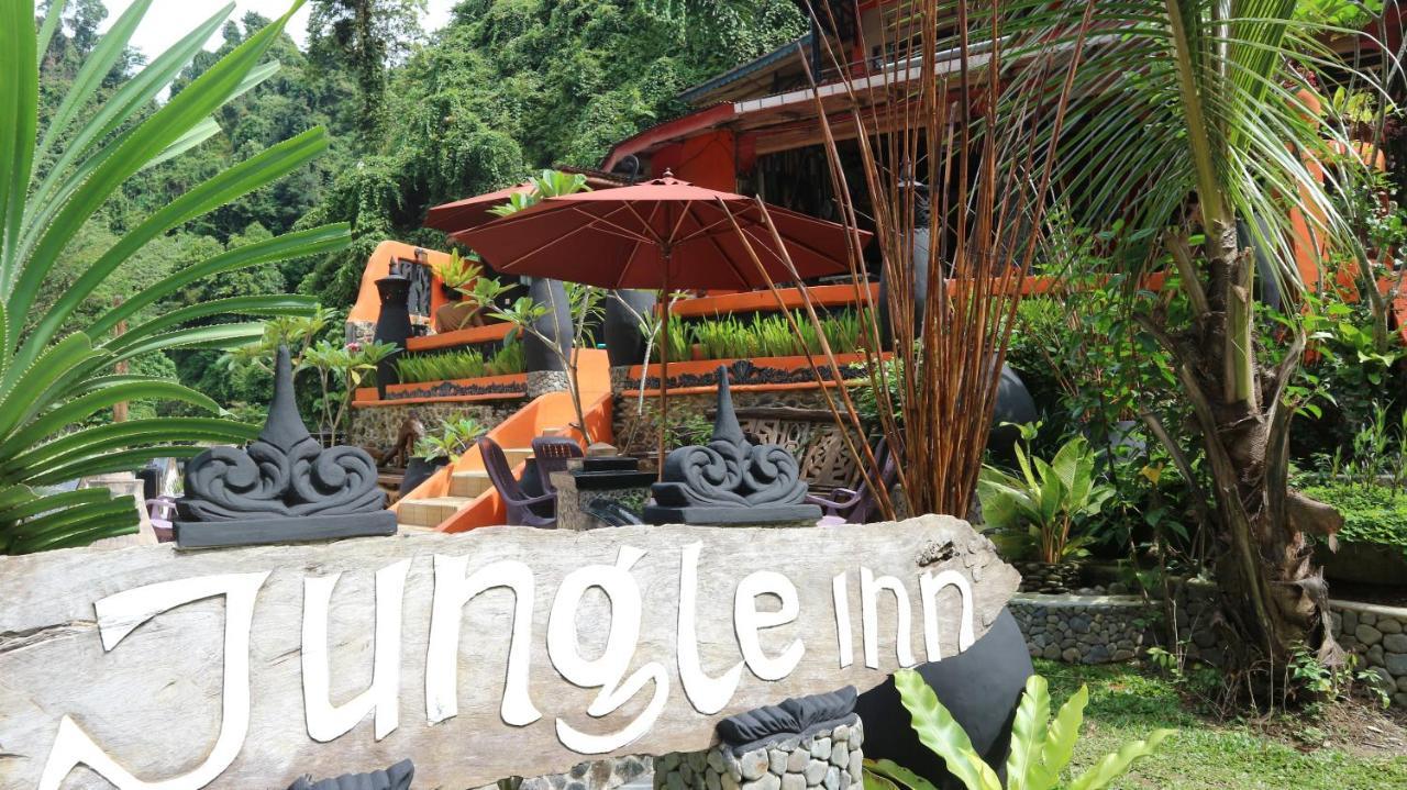 Jungle Inn 부킷 라왕 외부 사진